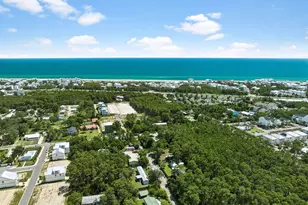19 Freedom Way, Inlet Beach, FL 32461 - Photo 1