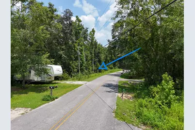 Lot 3 E Bayou Forest Drive #Lot 3, Freeport, FL 32439 - Photo 2