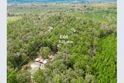 00 S Hwy 81, Ponce de Leon, FL 32455 - Photo 4