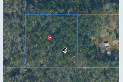 00 S Hwy 81, Ponce de Leon, FL 32455 - Photo 2
