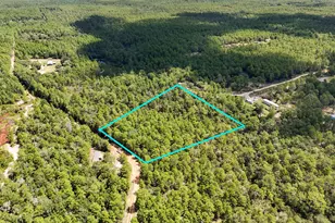 2 84 Acres White Rd, Defuniak Springs, FL 32433 - Photo 1