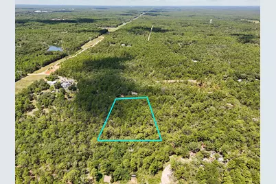 2.84 Acres White Road, Defuniak Springs, FL 32433 - Photo 8