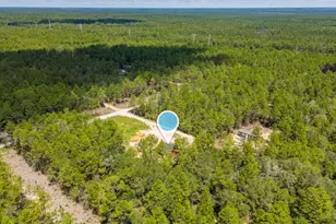 916 E Dogwood Ave, Defuniak Springs, FL 32433 - Photo 28