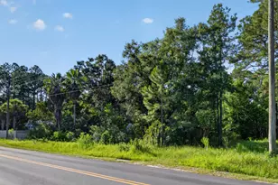 365 E Nursery Rd, Santa Rosa Beach, FL 32459 - Photo 16