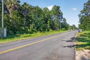 365 E Nursery Rd, Santa Rosa Beach, FL 32459 - Photo 2