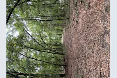 5266 Choctaw Road, Vernon, FL 32462 - Photo 30
