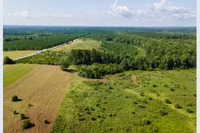 Lot 13 Campbell Road, Defuniak Springs, FL 32435 - Photo 6