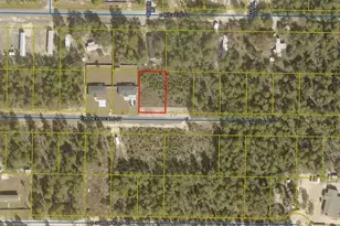 169 E Honeysuckle St, Defuniak Springs, FL 32433 - Photo 62