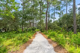Tbd S Co Hwy 393, Santa Rosa Beach, FL 32459 - Photo 34