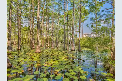 Lot 16 Cypress Drive, Santa Rosa Beach, FL 32459 - Photo 44