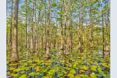 Lot 16 Cypress Drive, Santa Rosa Beach, FL 32459 - Photo 28
