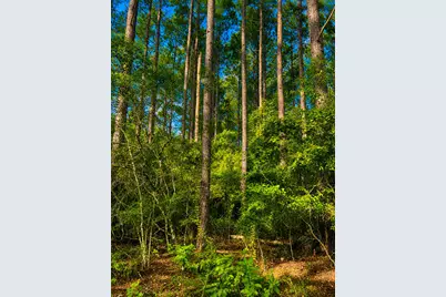 1581 Hwy C 180, Baker, FL 32531 - Photo 18