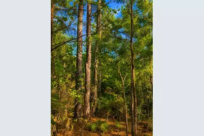 1581 Hwy C 180, Baker, FL 32531 - Photo 14