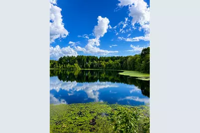 1581 Hwy C 180, Baker, FL 32531 - Photo 4