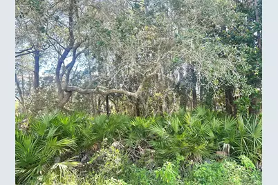 Lot 12&13 Sunrise Circle, Santa Rosa Beach, FL 32459 - Photo 14