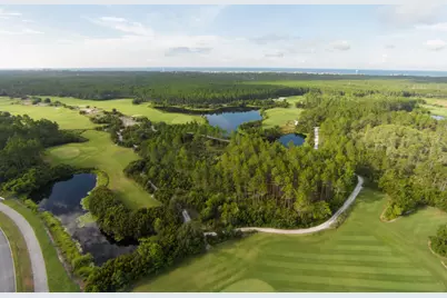 Tbd Suwannee Drive #Lot 51, Watersound, FL 32461 - Photo 8
