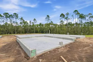 1084 Suwannee Dr, Watersound, FL 32461 - Photo 4