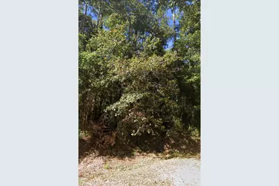 Lot 12 Fawnwood Drive, Pace, FL 32571 - Photo 4