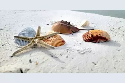 0 Us-98, Port Saint Joe, FL 32456 - Photo 20