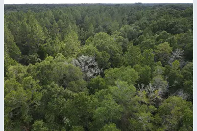 4.41 Ac Summertime Drive, Holt, FL 32564 - Photo 12