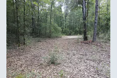 4.41 Ac Summertime Drive, Holt, FL 32564 - Photo 6