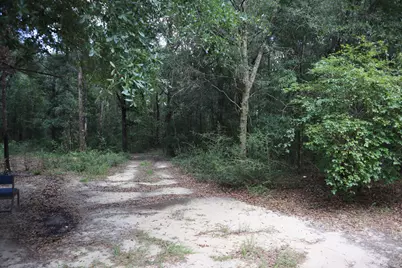 4.41 Ac Summertime Drive, Holt, FL 32564 - Photo 18