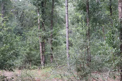 4.41 Ac Summertime Drive, Holt, FL 32564 - Photo 14