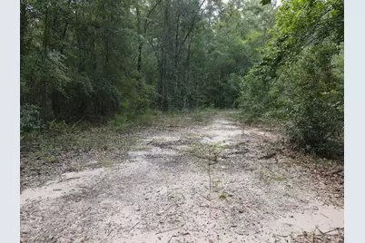4.41 Ac Summertime Drive, Holt, FL 32564 - Photo 4