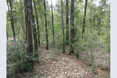 4.41 Ac Summertime Drive, Holt, FL 32564 - Photo 10