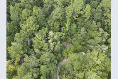 4.41 Ac Summertime Drive, Holt, FL 32564 - Photo 2