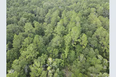4.41 Ac Summertime Drive, Holt, FL 32564 - Photo 1