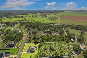 410 Coastal Breeze Dr, Freeport, FL 32439 - Photo 10