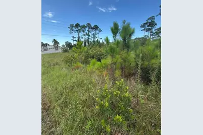 Lot 2 Cape San Blas Rd, Cape San Blas, FL 32456 - Photo 12