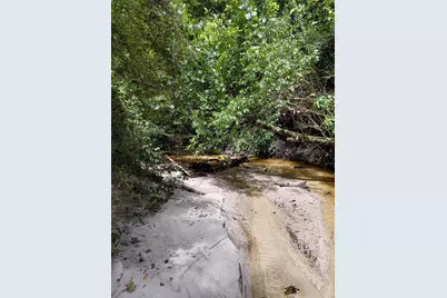 27.79 Acre County Highway 183B, Defuniak Springs, FL 32433 - Photo 6