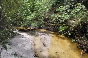 27 79 Acre County Hwy 183B, Defuniak Springs, FL 32433 - Photo 1