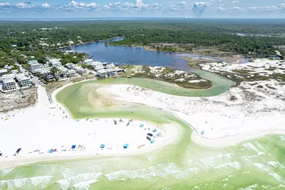 91 Pine Street, Santa Rosa Beach, FL 32459 - Photo 60