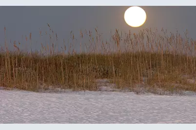 91 Pine Street, Santa Rosa Beach, FL 32459 - Photo 54