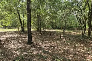 149 Nusom Dr, Defuniak Springs, FL 32433 - Photo 24