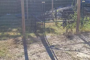 3114 E 2nd Ct, Panama City, FL 32401 - Photo 6