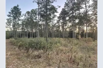 10 Eugene Court, Defuniak Springs, FL 32433 - Photo 8