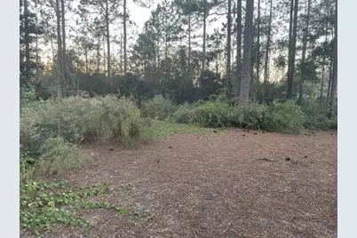 10 Eugene Court, Defuniak Springs, FL 32433 - Photo 10