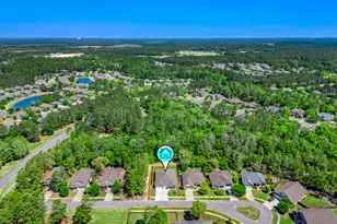 71 Leap Year Ln, Freeport, FL 32439 - Photo 54