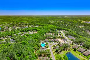 71 Leap Year Ln, Freeport, FL 32439 - Photo 60