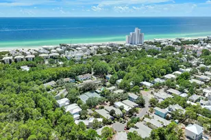 62 Dune Rosemary Ct, Santa Rosa Beach, FL 32459 - Photo 78