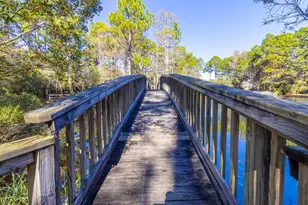 62 Dune Rosemary Ct, Santa Rosa Beach, FL 32459 - Photo 72
