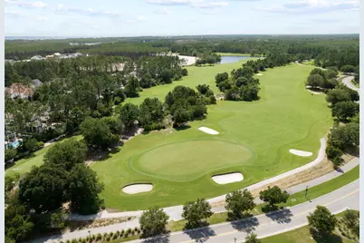 224 Needle Cast Lane, Watersound, FL 32461 - Photo 44