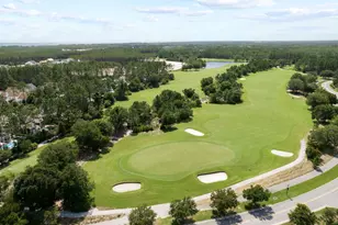 224 Needle Cast Ln, Watersound, FL 32461 - Photo 44