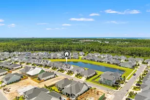 85 Bunting Ln, Inlet Beach, FL 32461 - Photo 38