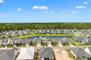 85 Bunting Ln, Inlet Beach, FL 32461 - Photo 36