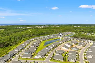 85 Bunting Ln, Inlet Beach, FL 32461 - Photo 42